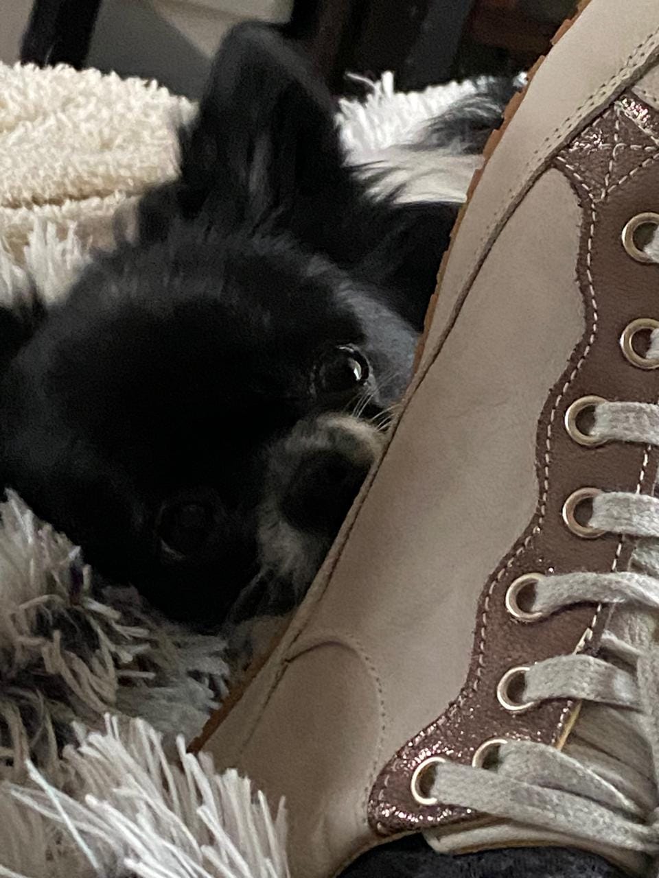 Customer photo review of Zapatilla A2. Plateada