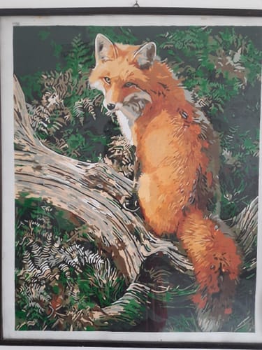 Customer photo review of Renard dans les Fougères