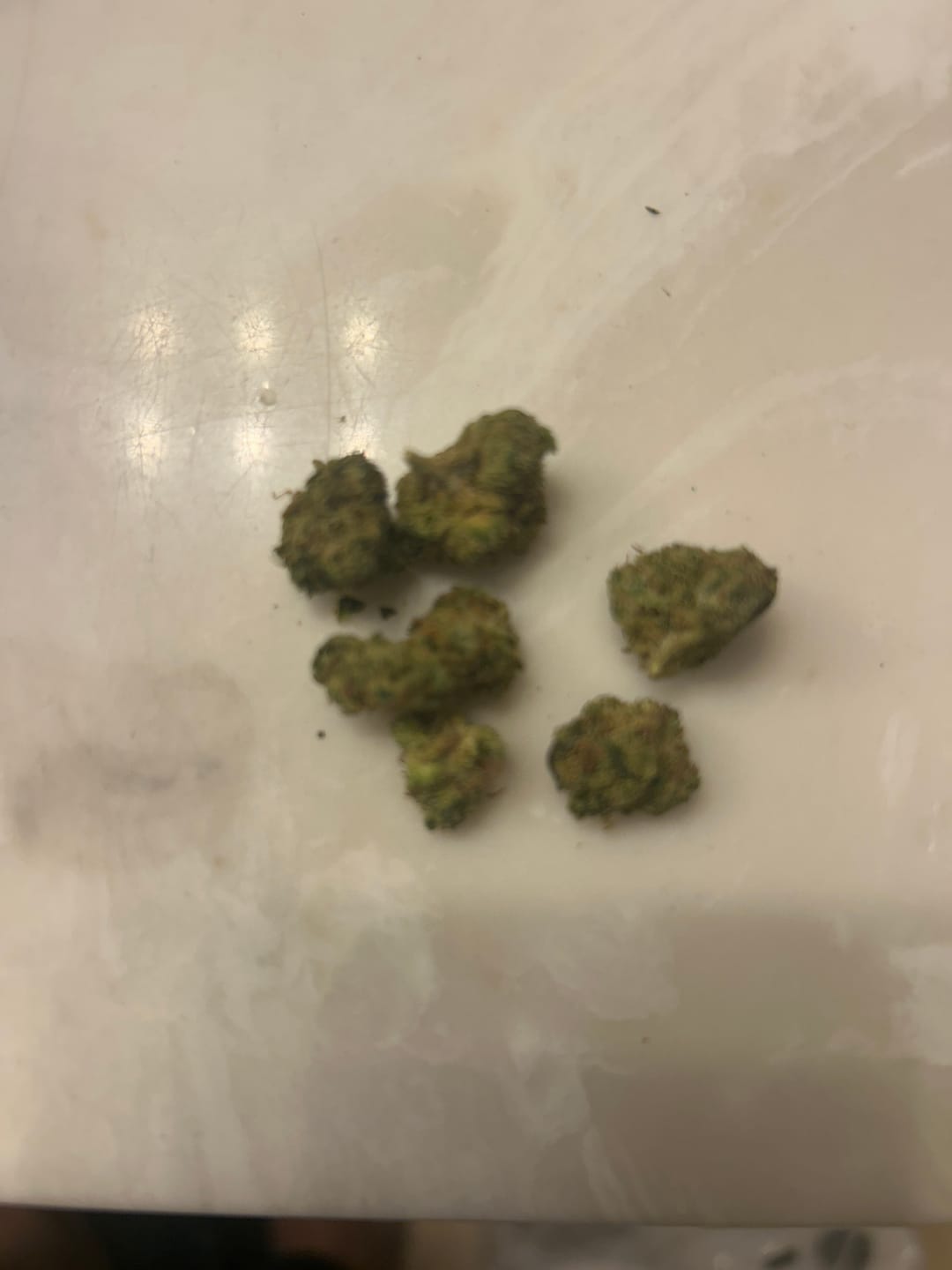 Customer photo review of Cheap THCA Flower Half Pound