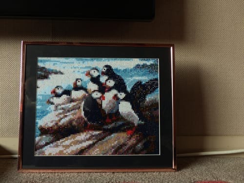 Customer photo review of Broderie Diamant - Petits Oiseaux et Fleurs Blanches