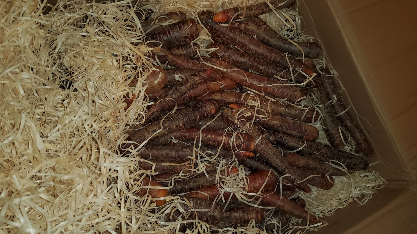 Customer photo review of Karotten "violett" Bio regional bioland aus Bayern