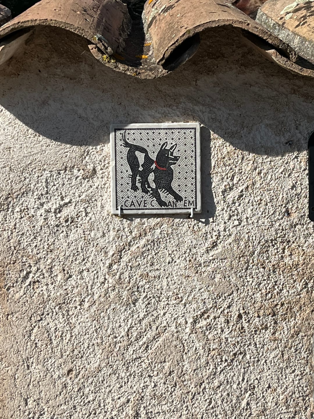 Customer photo review of Piastrella Cave Canem Pompei