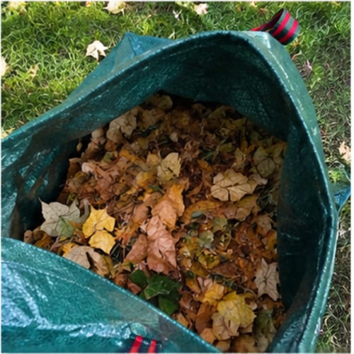 Customer photo review of Kit Ramasse-Feuilles | Pinces à feuilles, Sac grande ouverture et Gants offerts