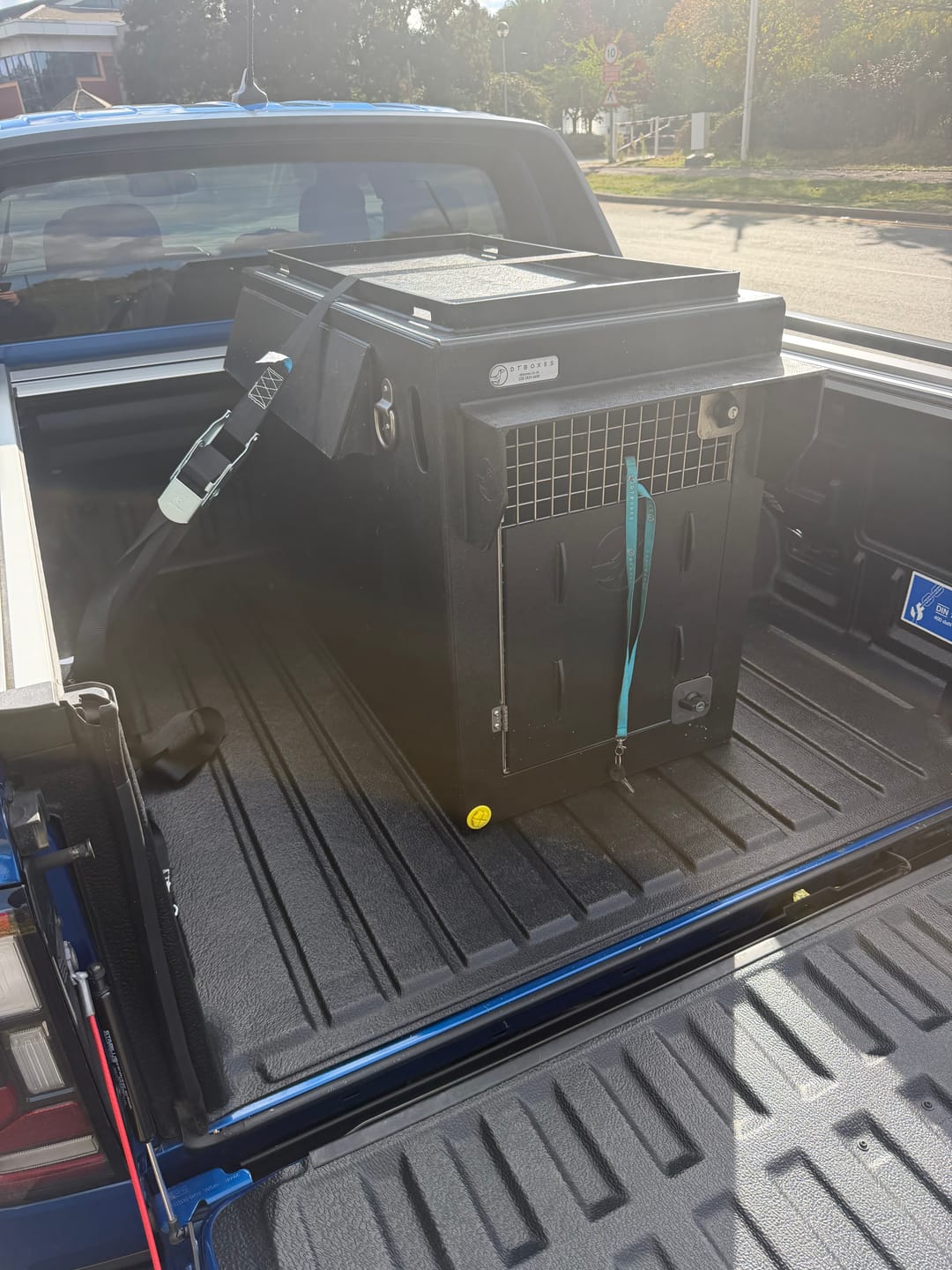 Customer photo review of DT Box Dog Car Travel Crate - The DT 600