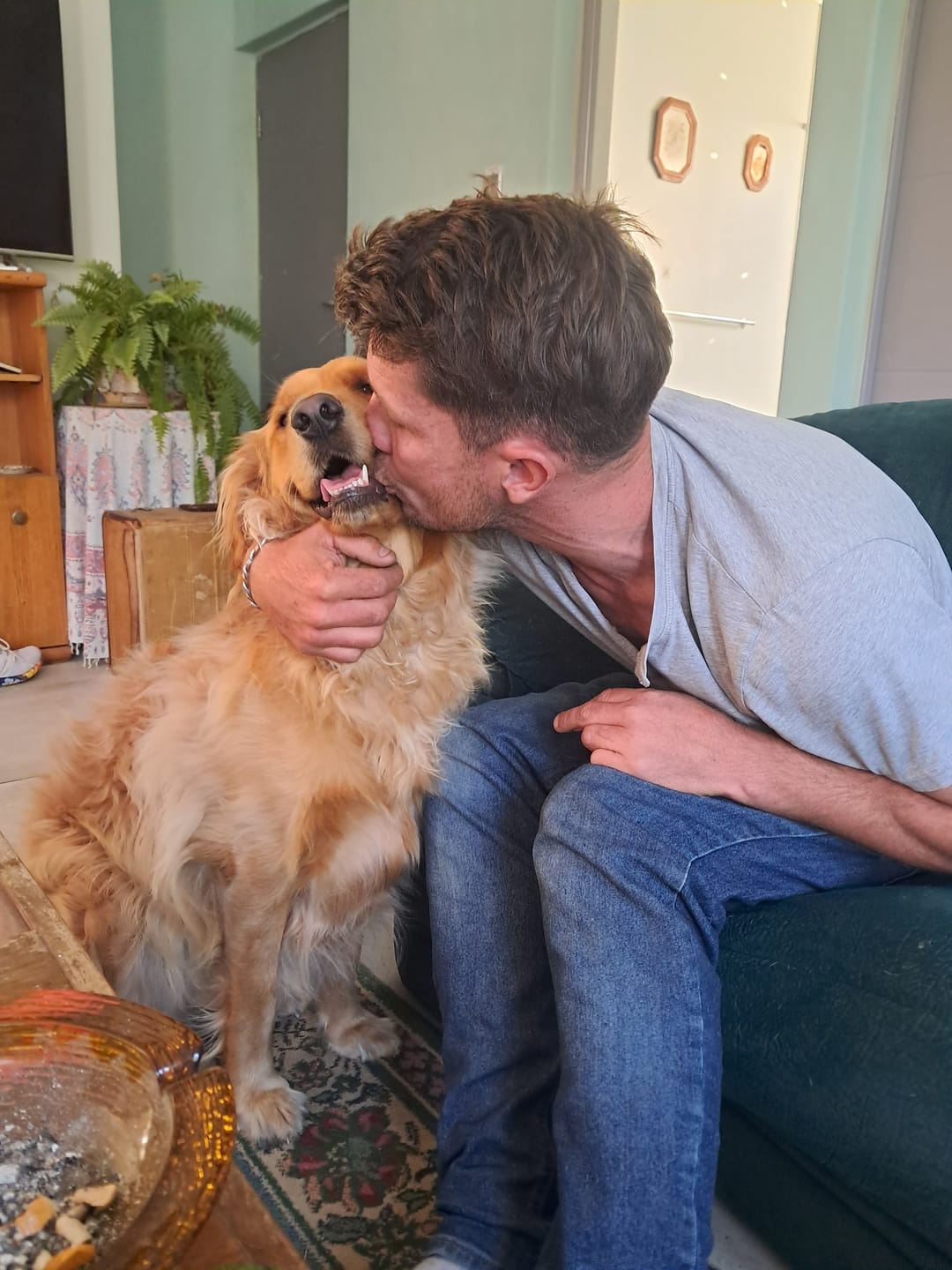 Customer photo review of FlexCare (Joint & Movement Support For Dogs)