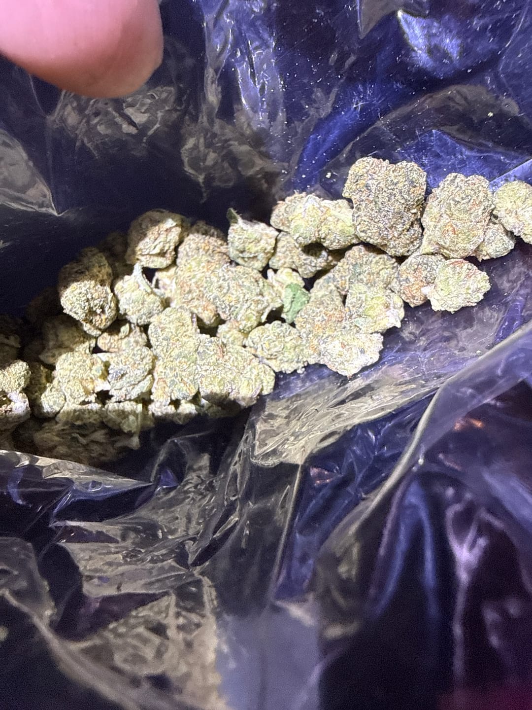 Customer photo review of Apple Banana Mediums - Bulk Mediums - Hybrid