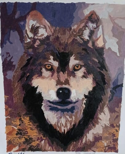 Customer photo review of Tête de loup