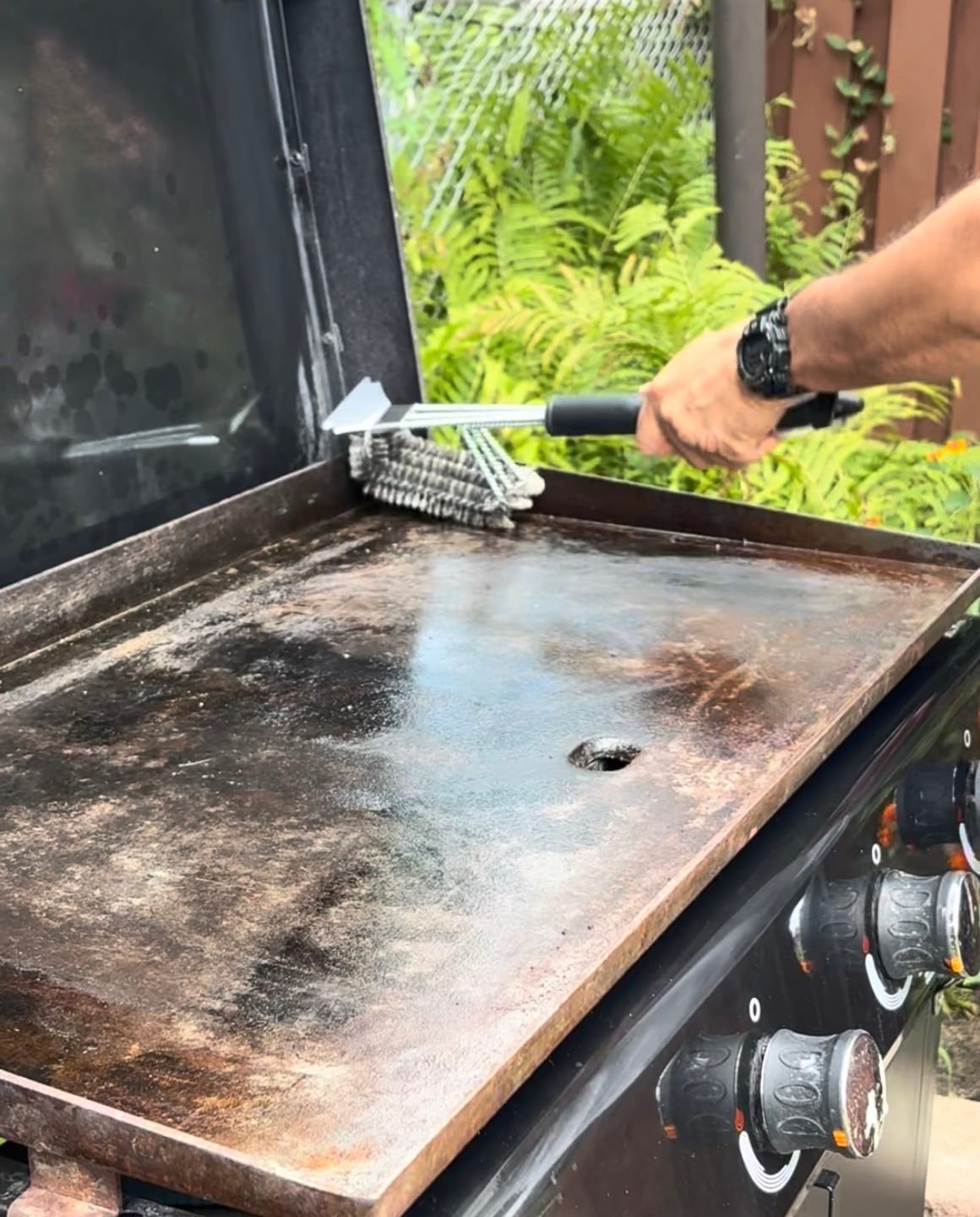 Customer photo review of Brander The Threesome Grill Brush