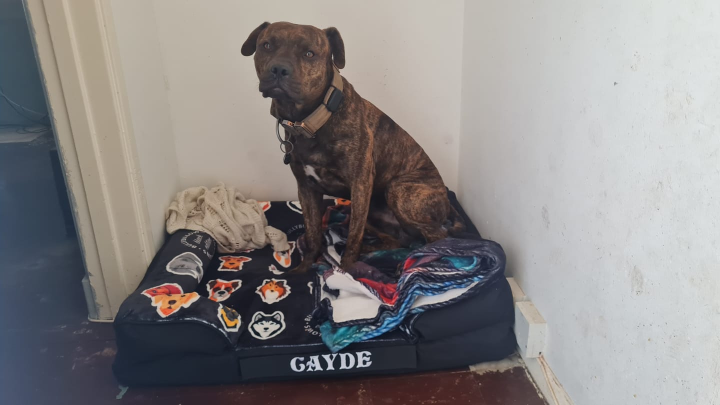 Customer photo review of Free Personalisation