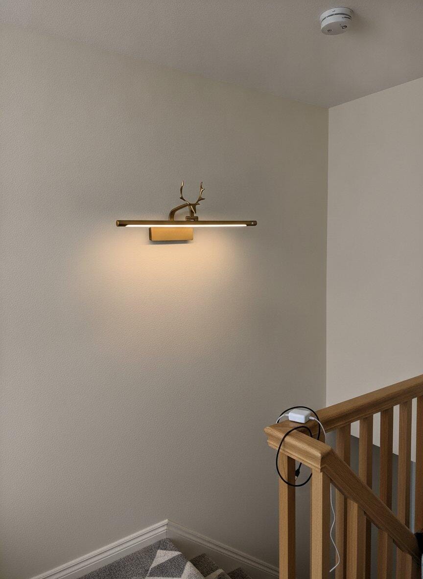 Customer photo review of Wall Sconce, Stag Horn Picture Light, Metal & Acrylic, Integrated LED