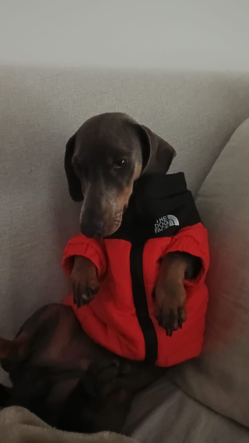 Customer photo review of The Dog Face Piumino