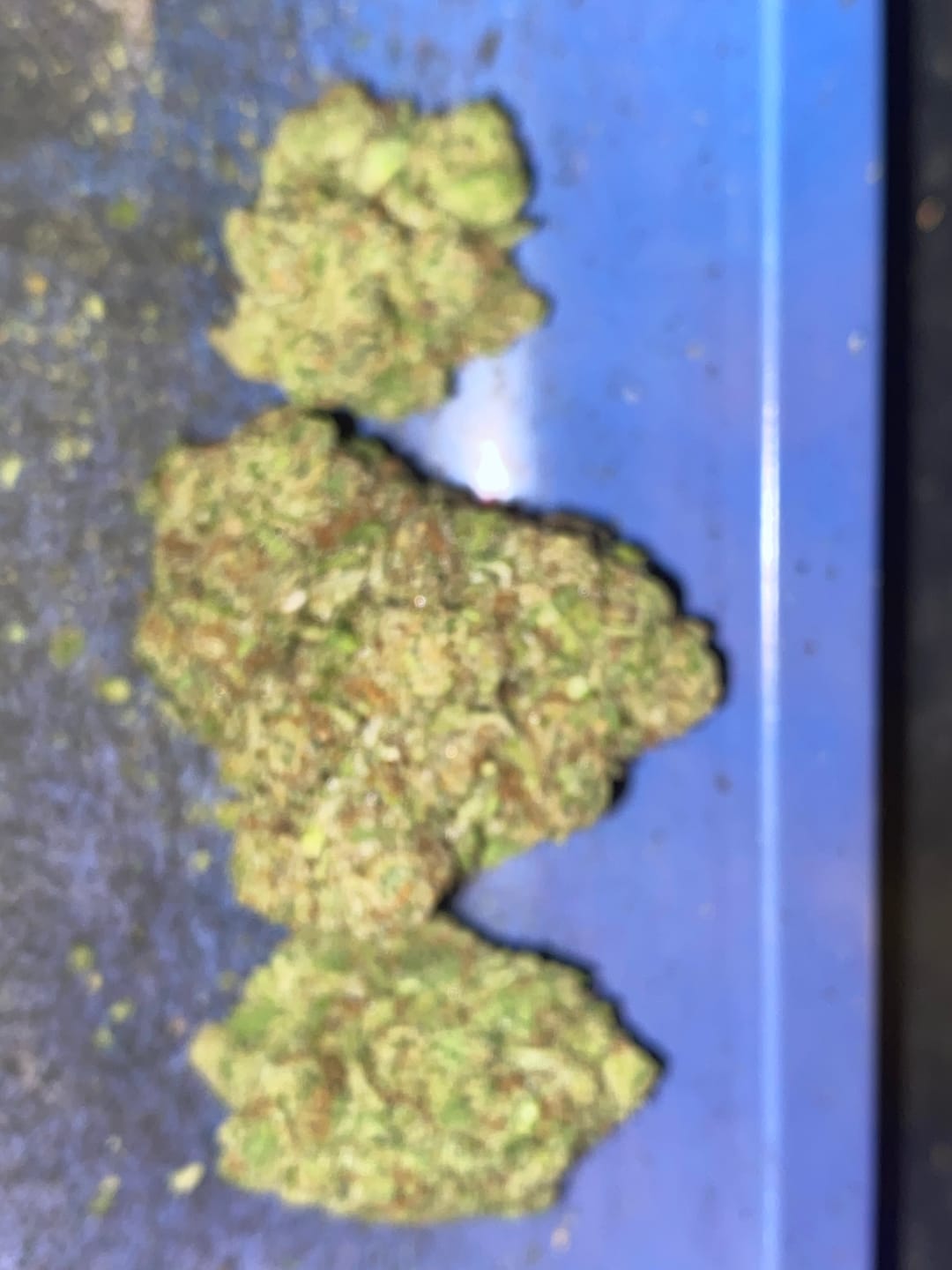 Customer photo review of John Truffolta THCA Flower