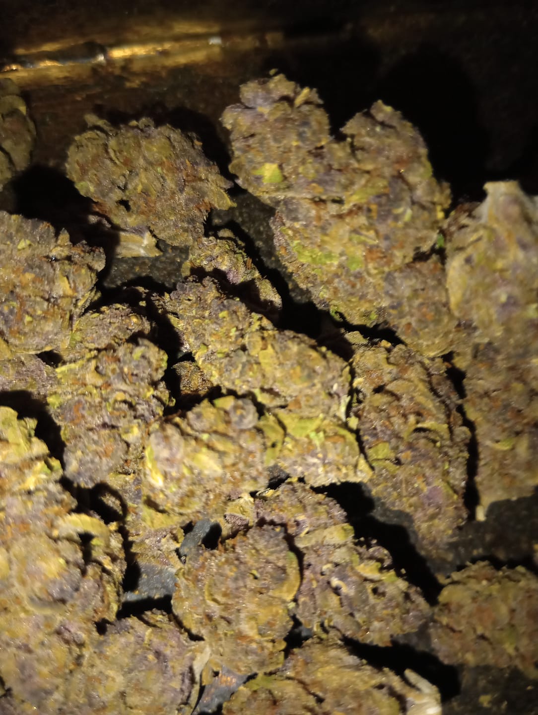Customer photo review of Tropicana Cherry THCA Flower