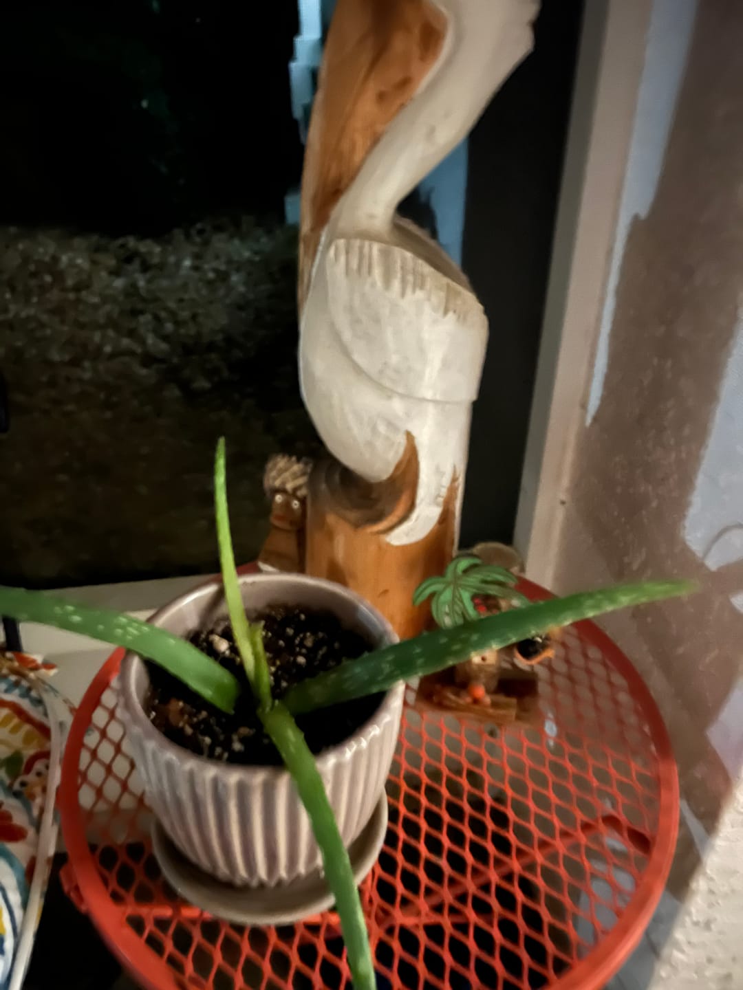 Customer photo review of Premium Aroid Mix For Tropical Plants