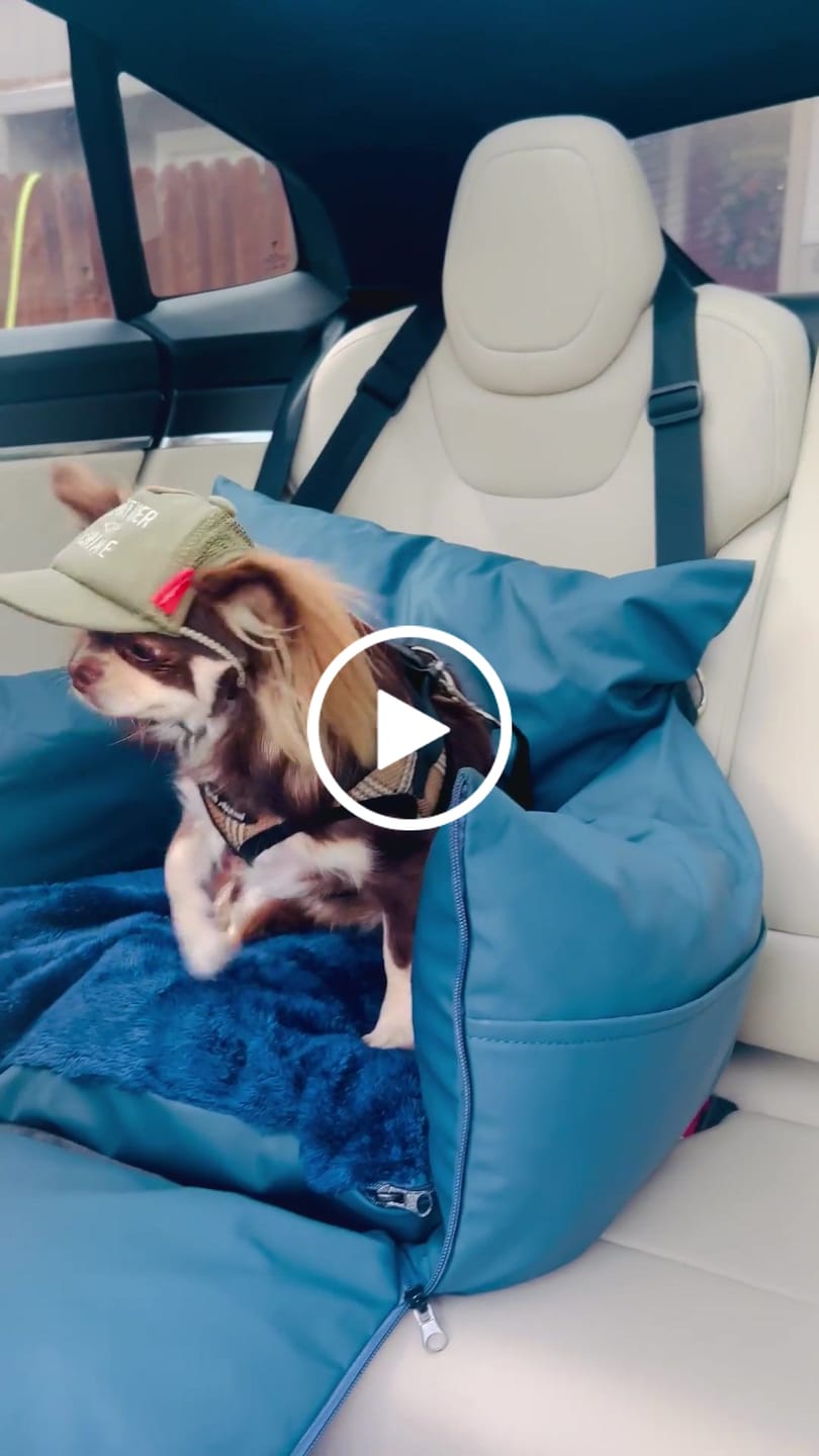 Customer video review of Dog Dock V2 New With Latch Anchors PRE ORDER