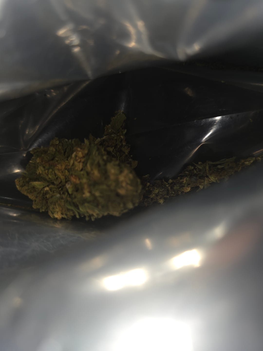 Customer photo review of Bulk THCA Flower Pounds