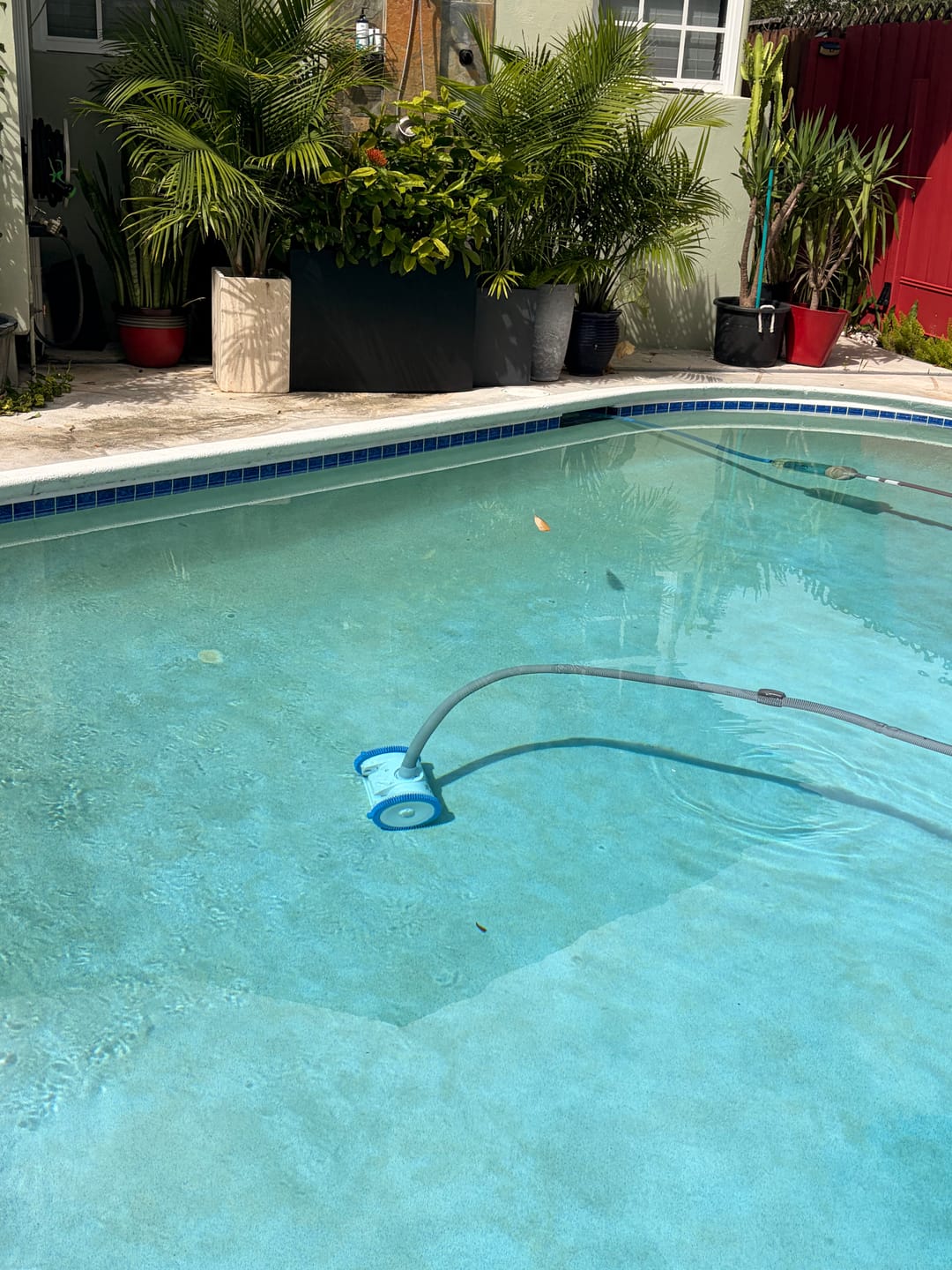 Customer photo review of Hayward Poolvergnuegen 2-Wheel Suction Pool Cleaner HEAD ONLY (No Hoses) | PBS20JSTHBX