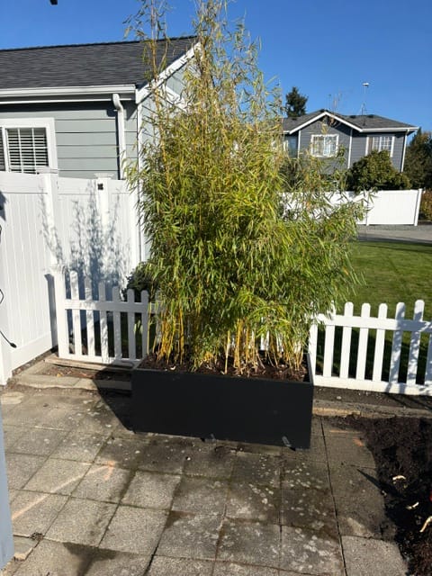 Customer photo review of Giant Rectangular Planter 48" x 24" x 18"