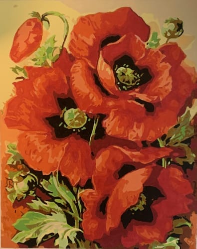 Customer photo review of Coquelicots