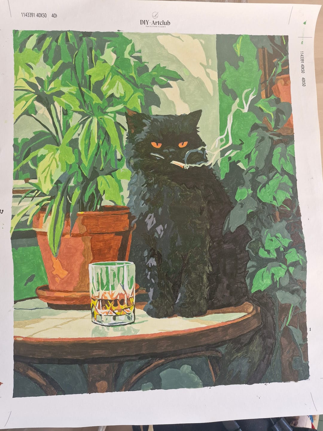 Customer photo review of Grumpy cat | Paint by Number