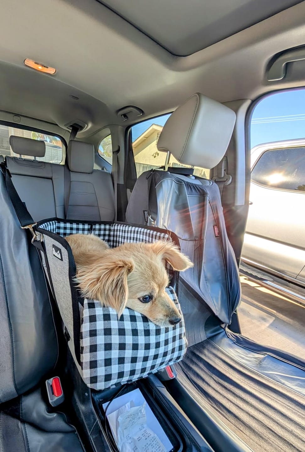 Customer photo review of Console Pet Car Seat