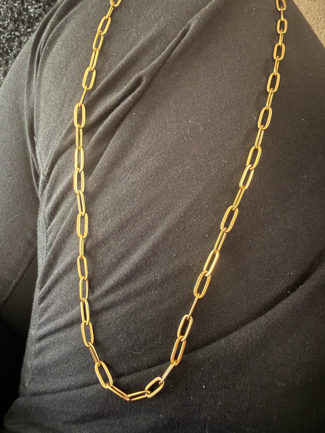 Customer photo review of Paperclip Necklace