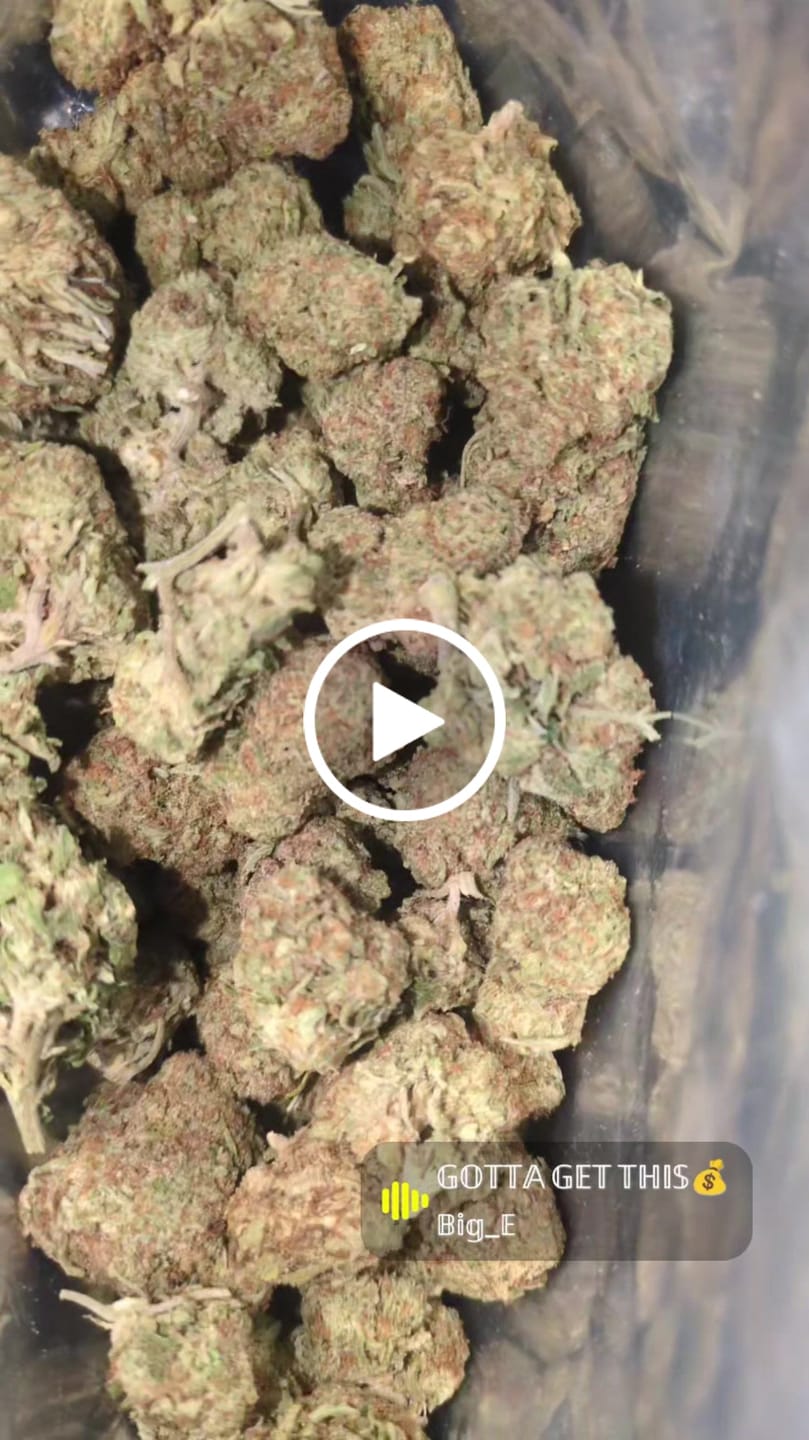 Customer video review of THCA Queen