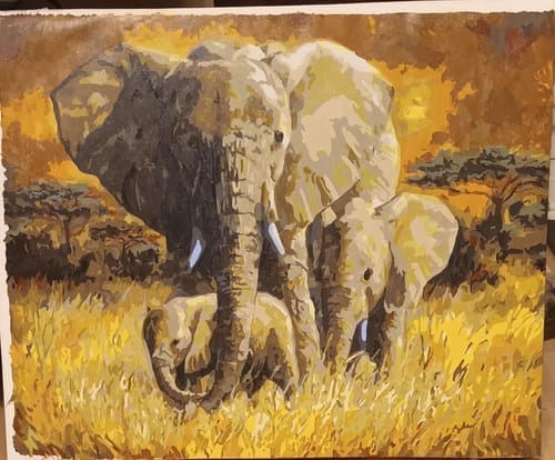 Customer photo review of La Famille Eléphants