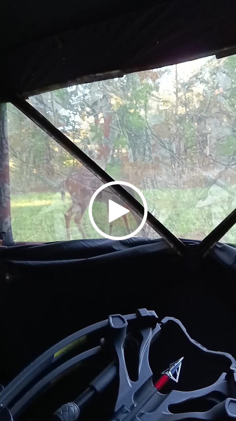 Customer video review of FLASH SALE Shoot Through Hunting Blinds | Mesh Pop Up Deer Blinds | Portable 2-3 Person Camouflage Ground Blind for Hunting with Extended Edge