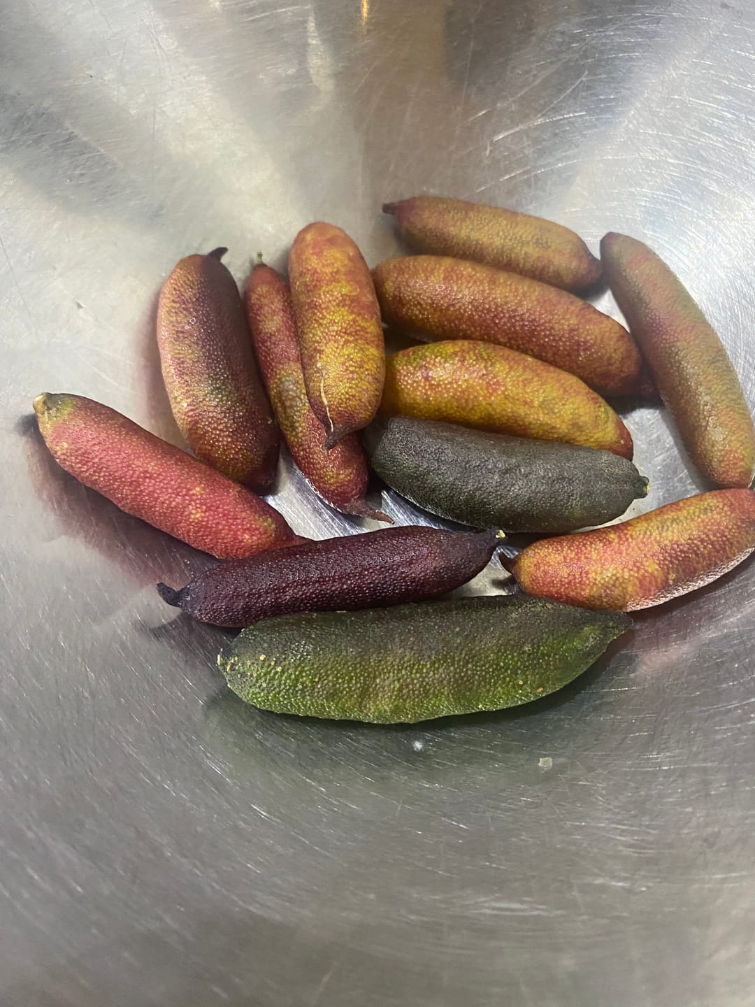 Customer photo review of Caviar Lime (Finger Lime)