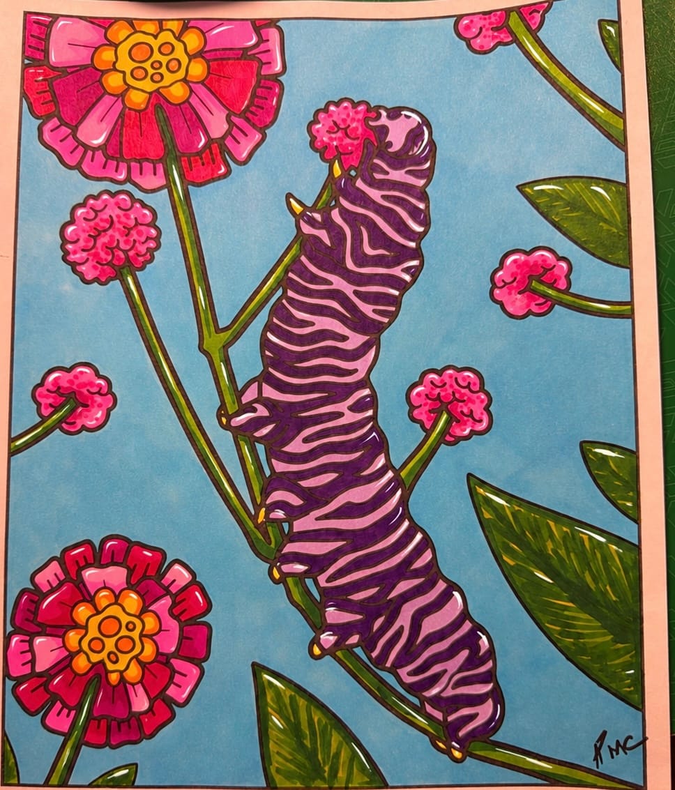Customer photo review of Ohuhu Honolulu 120 Colors Dual Tips Alcohol Art Markers (New Color Codes)