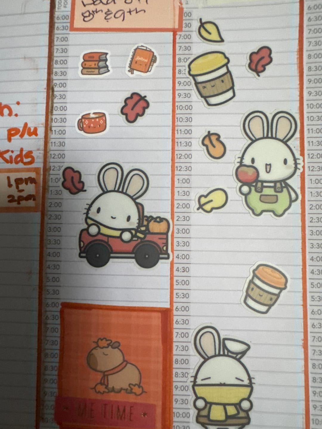 Customer photo review of Autumn Bunnies Box Set