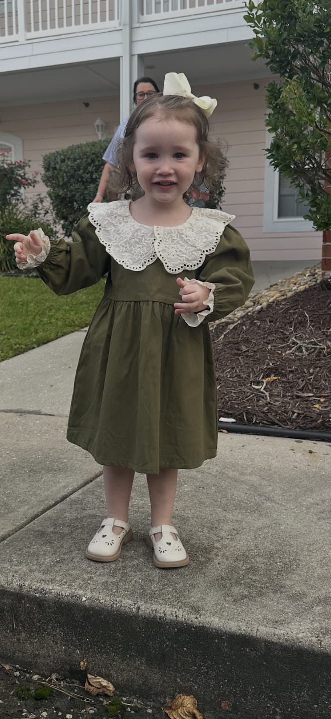 Customer photo review of Euro Style Lace Collar Dress