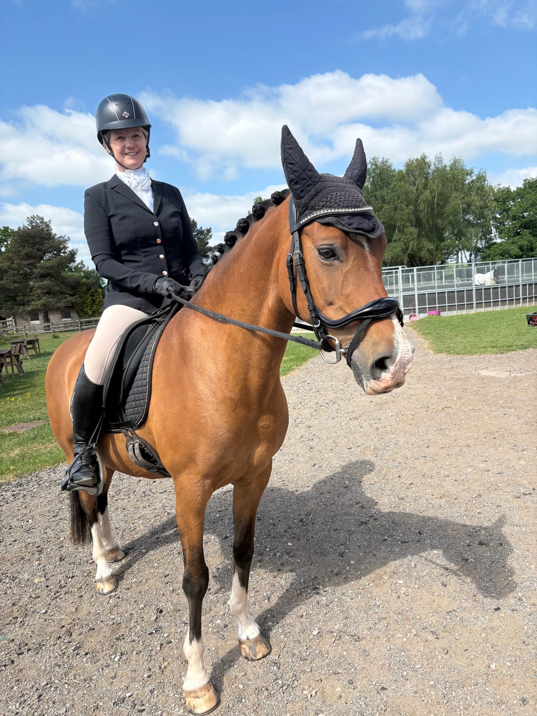 Customer photo review of LeisureVit | Daily Vitamins & Minerals for Leisure Horses