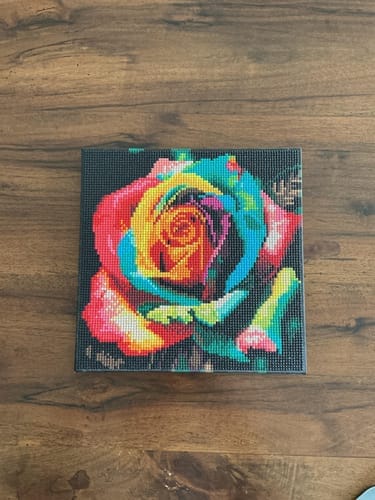 Customer photo review of Mini Diamond Painting 25x25cm - Rose Multicolore