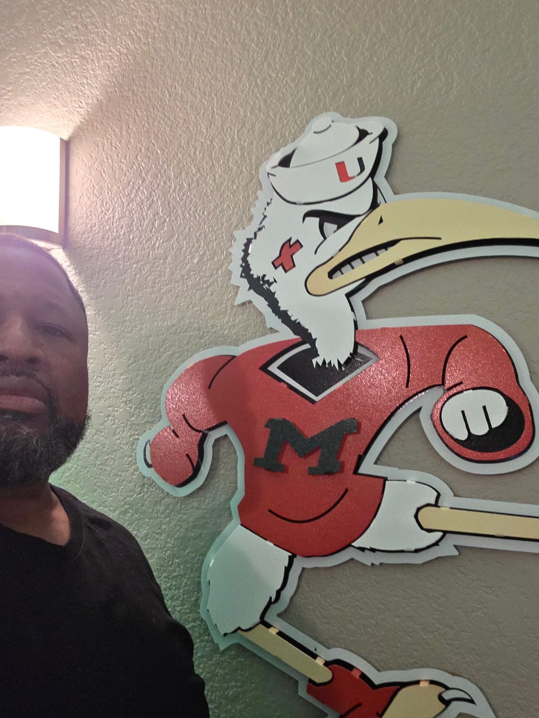 Customer photo review of Miami Hurricanes "Sebastian the Ibis" 3D Vintage Metal Wall Art