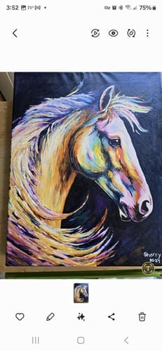 Customer photo review of Cheval Coloré Abstrait