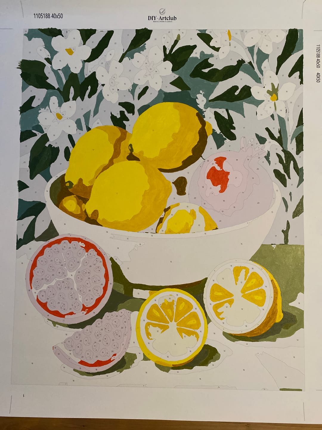Customer photo review of Pomegranates & Lemons | Paint by Number