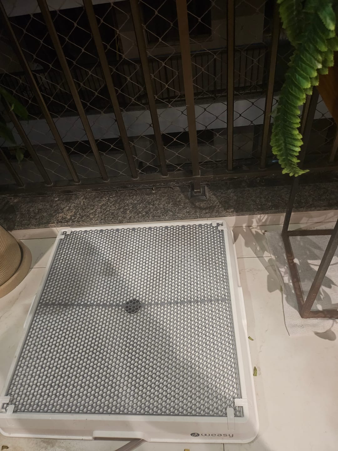 Customer photo review of Weasy Cão | Banheiro inteligente para cachorro