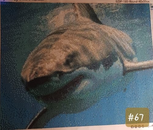 Customer photo review of Broderie Diamant - Requin