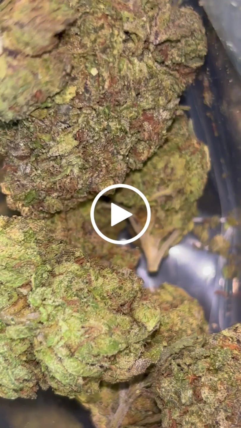 Customer video review of THCA Queen