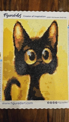 Customer photo review of Broderie Diamant - Chat étonné