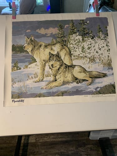 Customer photo review of Couple de Loups