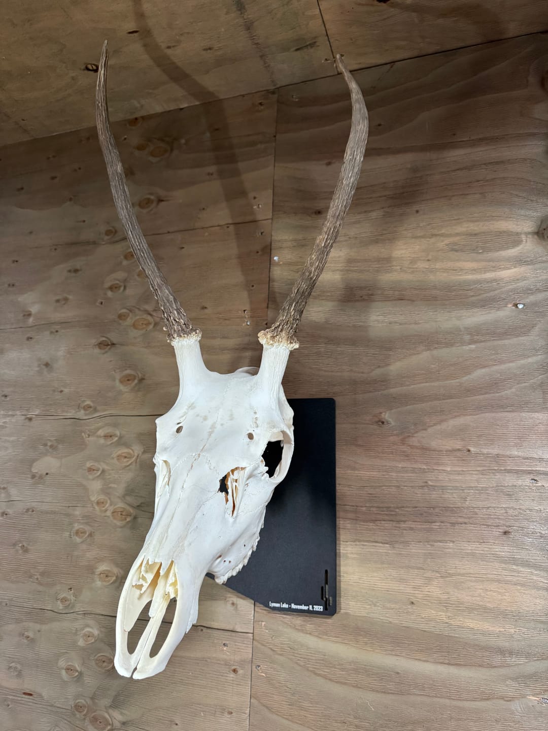 Customer photo review of Medium Game Plaque - Selections