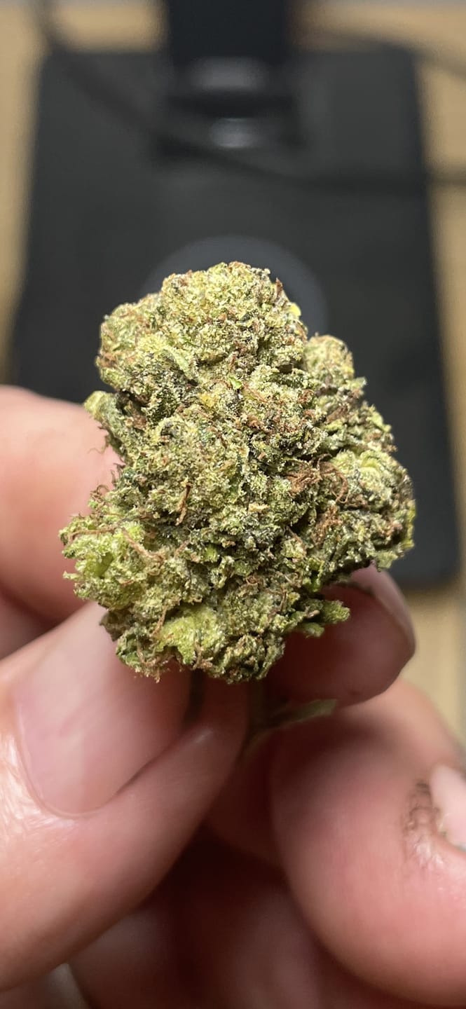 Customer photo review of THCA Queen