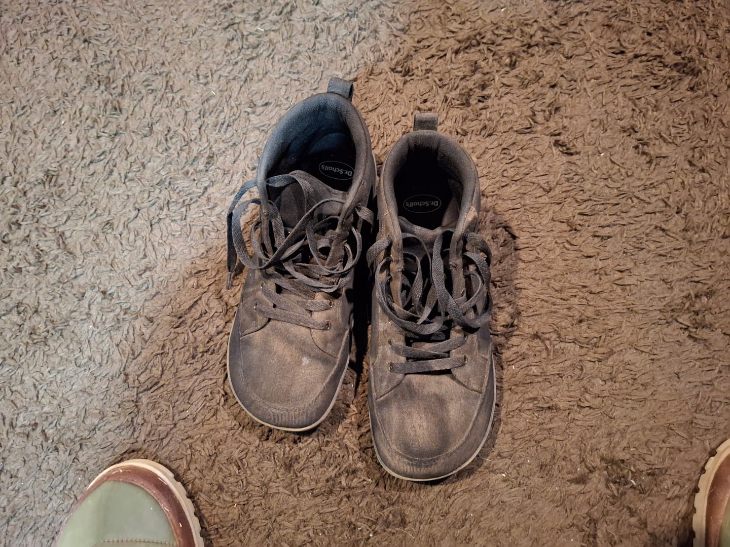 Customer photo review of Maple - Barefoot Shoes