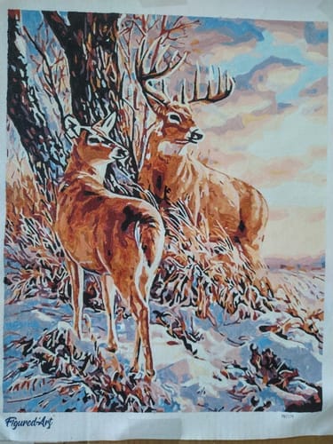 Customer photo review of Cerfs en Hiver