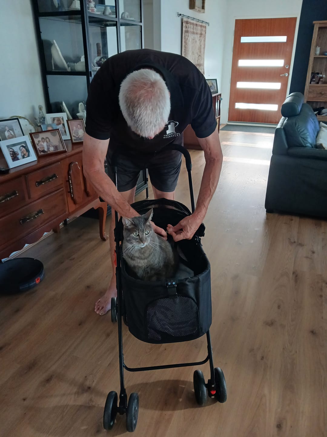 Customer photo review of Pet Stroller 3 in1Dog Cat Pram Carrier Foldable Pushchair Outdoor 4 Wheels