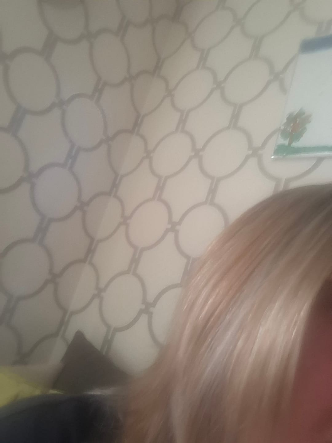 Customer photo review of Mattie Silver Gray - Vegan Semi-Permanent Direct Dye Hair Color Cream 210 ml