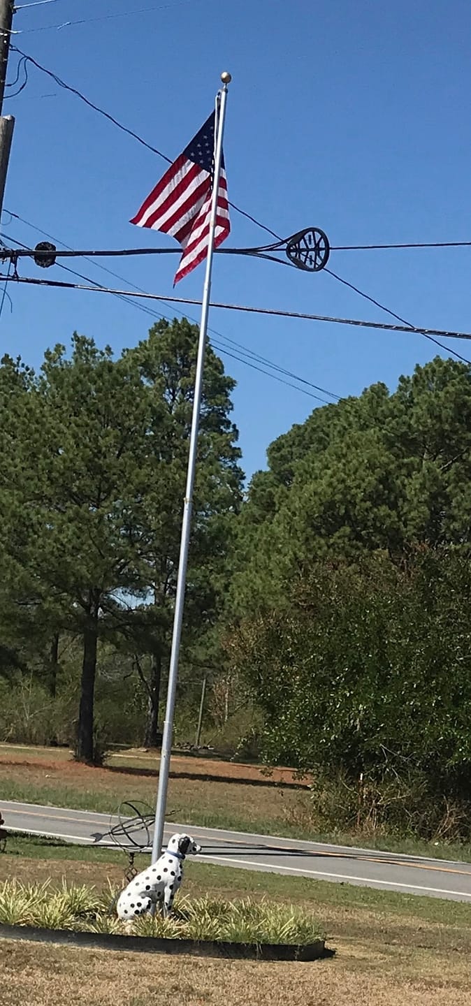 Customer photo review of 3' x 5' American Flag